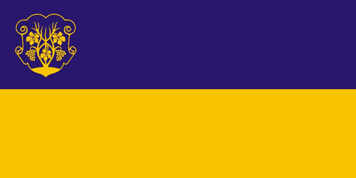 Флаг міста Ужгород, Україна.